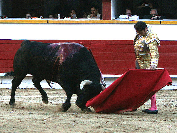 Naturalazo del valenciano