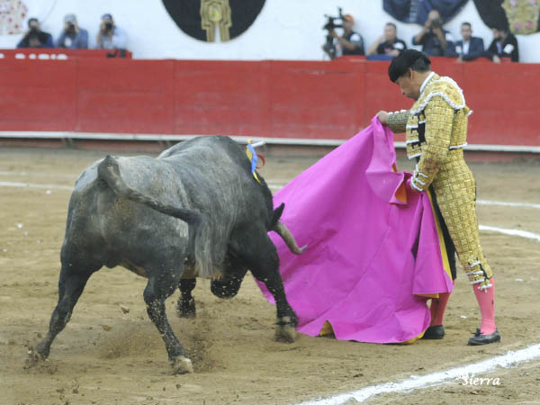 Ver�nicas al c�rdeno