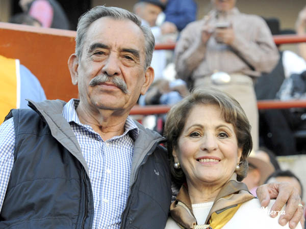 El domingo... a los toros