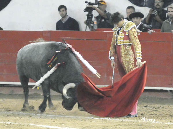 El toro humill� por el izquierdo