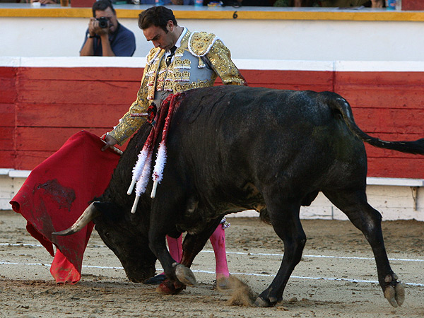 Ponce, marcando el camino