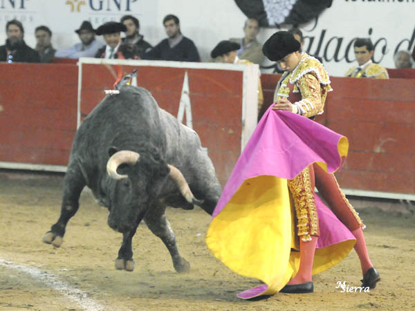 Lo recibi� por ver�nicas