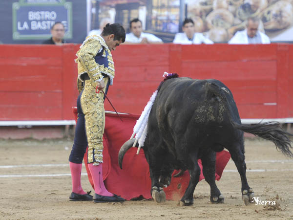 Verticalidad y reposo