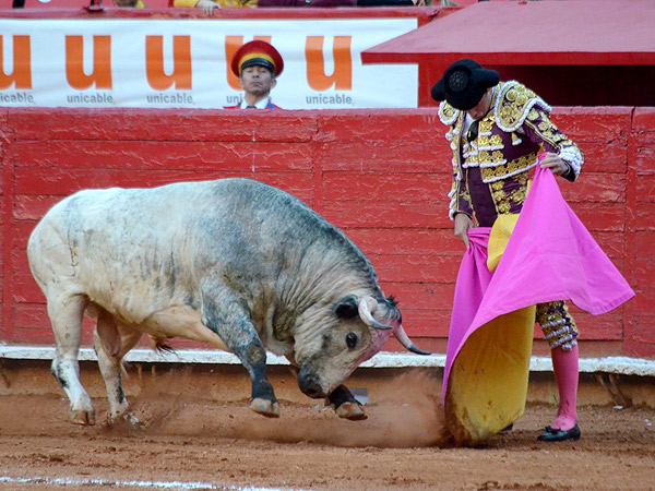 Rafael Serna abre la tarde