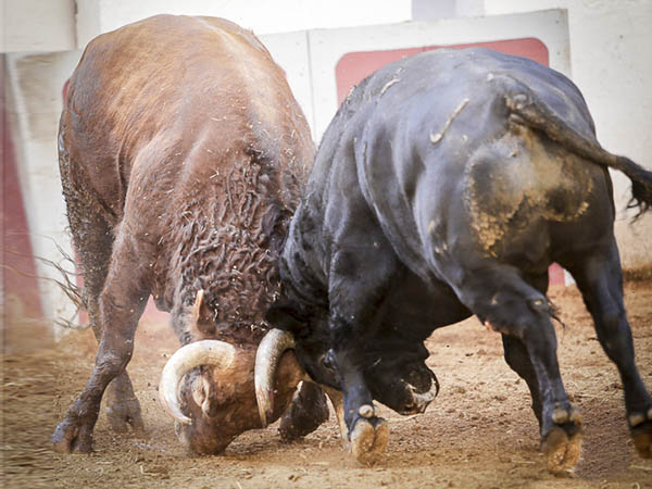 Impresionante escena