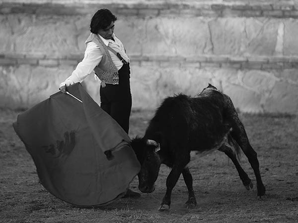 Verticalidad de Gleason