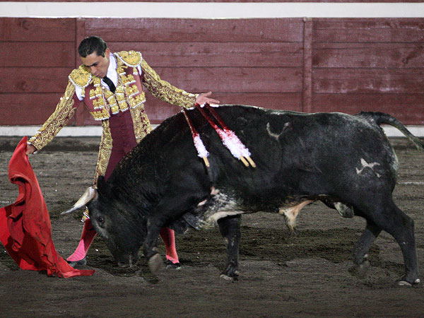 Se impuso al toro