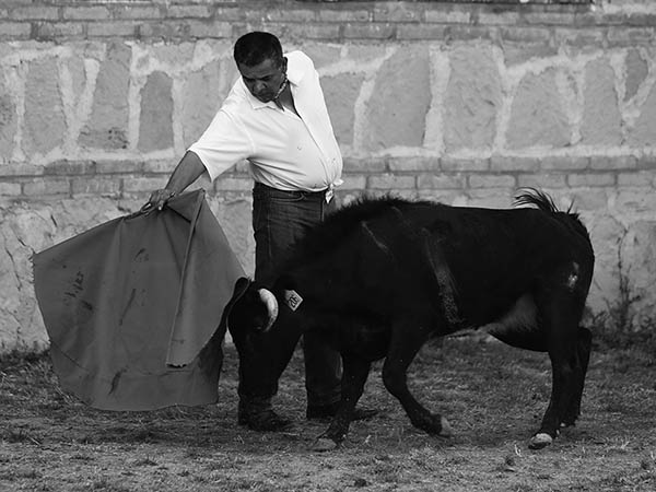 Chato Bonilla, templando al bragado