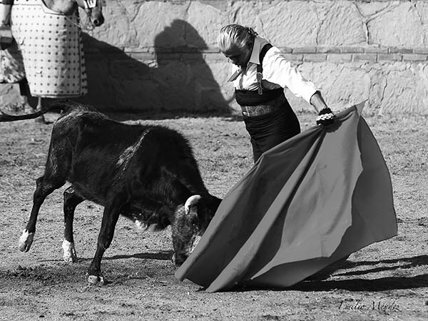 Tirando de la salpicada