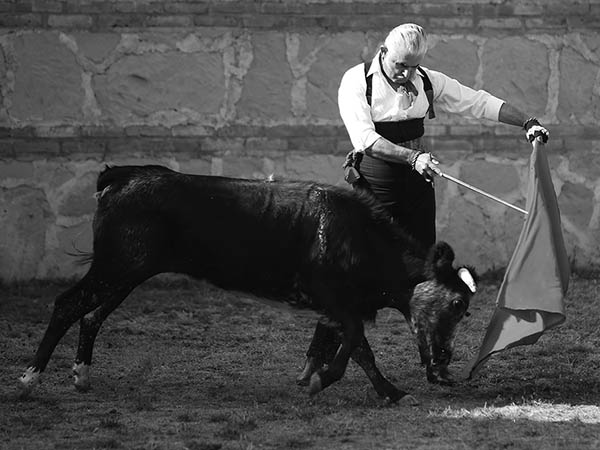 Rafaelillo, a media altura