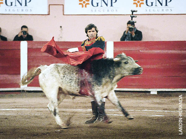 Verticalidad lagunera