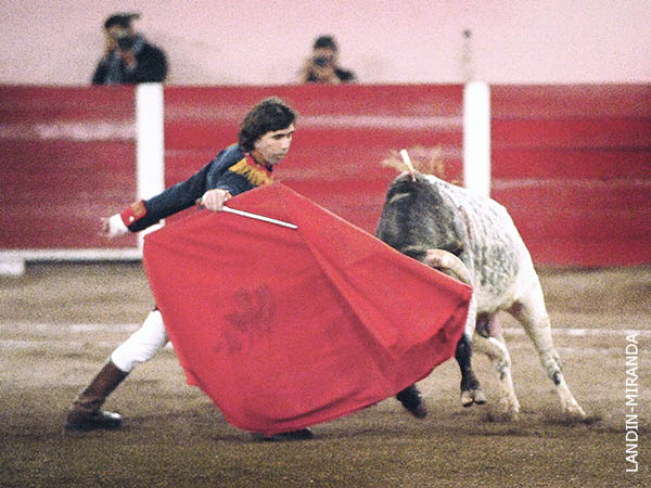 Calibrando al burraco