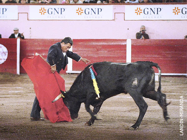 Variedad en la muleta