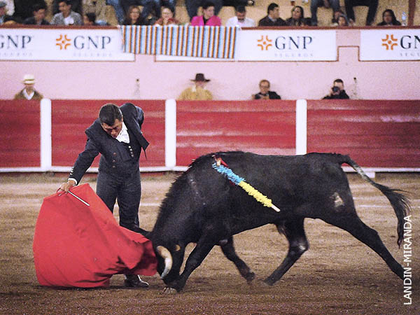 Mando y determinaci�n