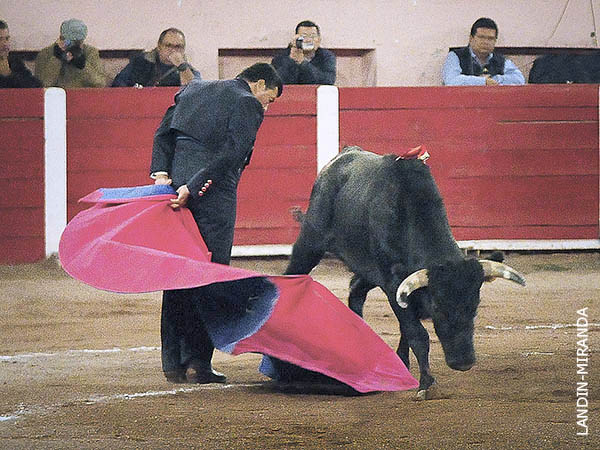 Abrochando el saludo