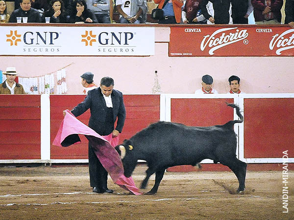 Ver�nicas de David Chato Bonilla