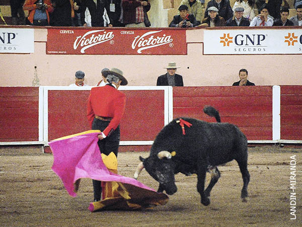 Rafaelillo, primer espada