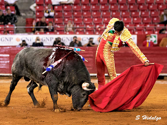 Sergio Flores, triunfo grande