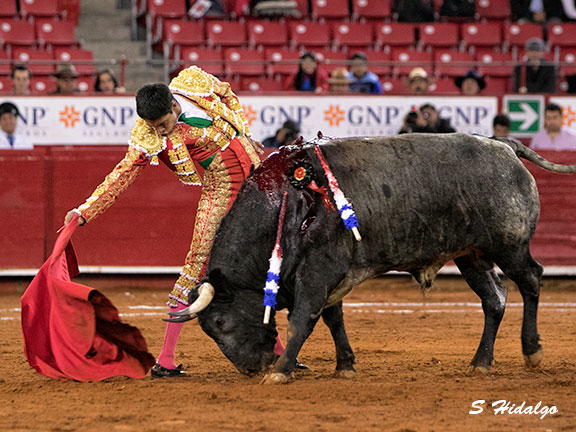 El largo trazo del tlaxcalteca