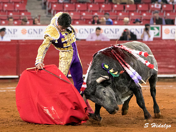 Torero de poder