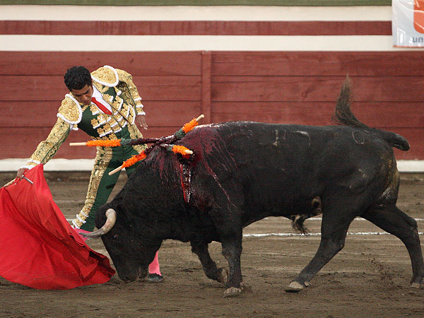 De excelente factura