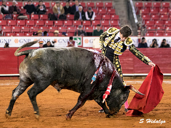 Un buen natural de Garrido