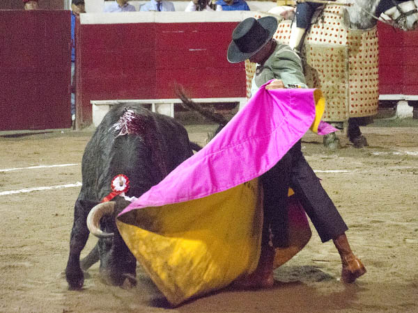 Especial en las ver�nicas