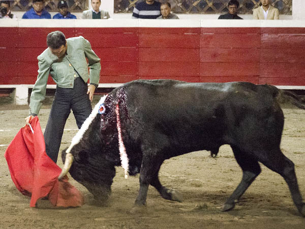 Paciencia y colocaci�n