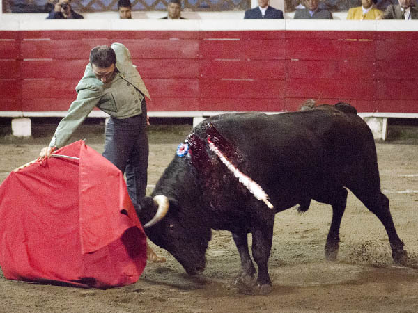 Muleta de terciopelo