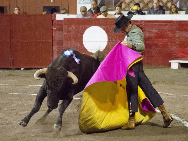 Enrique Ponce, primer espada