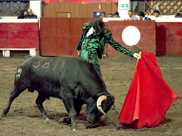 Aprovech� la calidad del toro