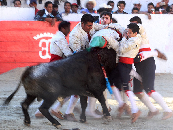 Forcados Hidalguenses