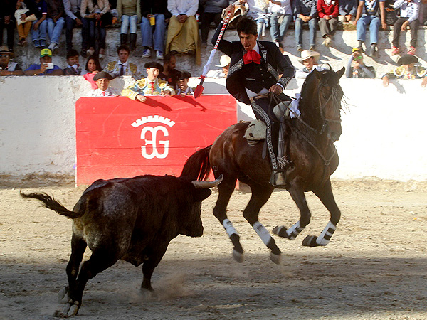 Entonada actuacin de Luis Pimentel