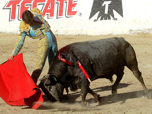 Extraordinario trazo