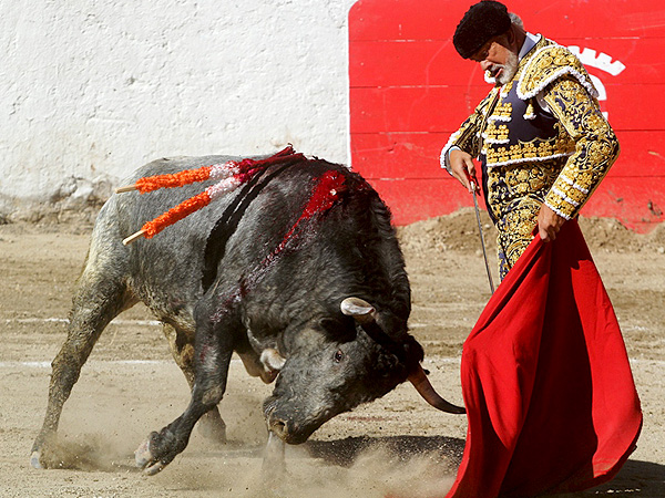 Detallando con torera