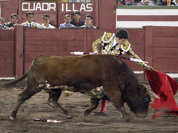 Lo meti� a la muleta