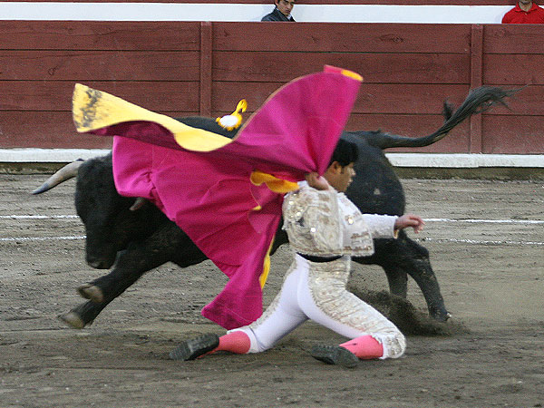 Angelino en los medios