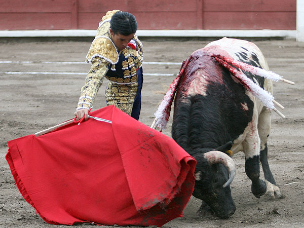 Bien planchada la muleta