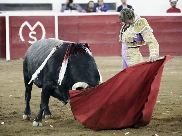 Concepto serio, con mucha cabeza